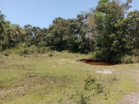 Fazenda de 176 hectares com nascentes em Salinas da Margarida