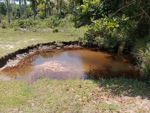 Fazenda de 176 hectares com nascentes em Salinas da Margarida – 5