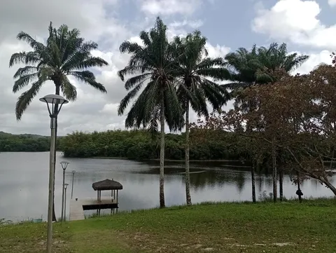 Terreno de 73 hectares com nascentes e lagoa em Salinas da Margarida – 3