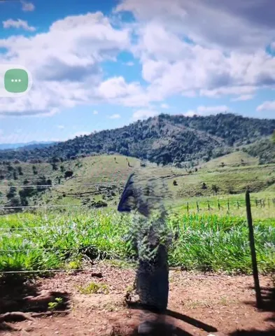Fazenda de 409 hectares com cacau, nascentes e duas sedes em Ibirataia – 2