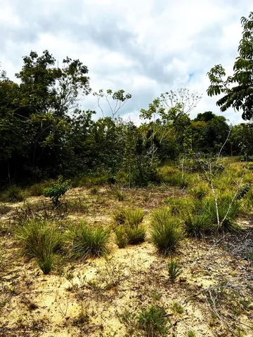 Terreno de 2 hectares com rio e estrutura elétrica em Nazaré – 2