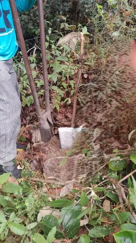 Terreno de 2 hectares com rio e estrutura elétrica em Nazaré – 4