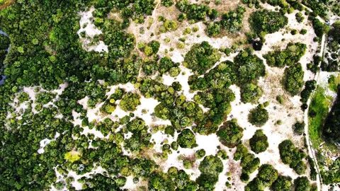 Terreno de 2 hectares com rio e estrutura elétrica em Nazaré