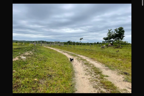 🌿 VENDE-SE PROPRIEDADE RURAL EM ÁGUA AZUL DO NORTE – PA – 5